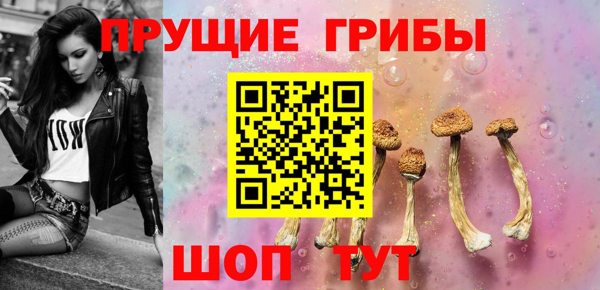 где купить наркотик  Галлюциногенные грибы GOLDEN TEACHER  Вход с VPN  Гай  Галлюциногенные грибы Cubensis 