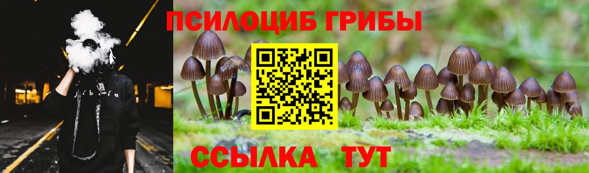 Галлюциногенные грибы мухоморы Гай